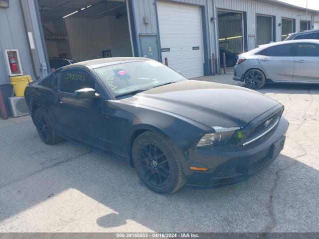 FORD MUSTANG 2014 1zvbp8am6e5207200