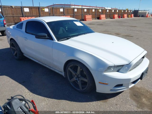 FORD MUSTANG 2014 1zvbp8am6e5224417