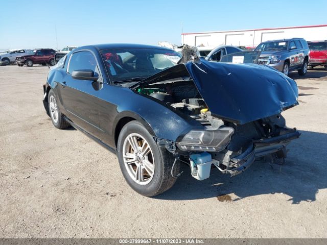 FORD MUSTANG 2014 1zvbp8am6e5254520