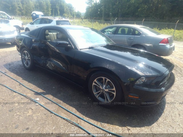 FORD MUSTANG 2014 1zvbp8am6e5262410