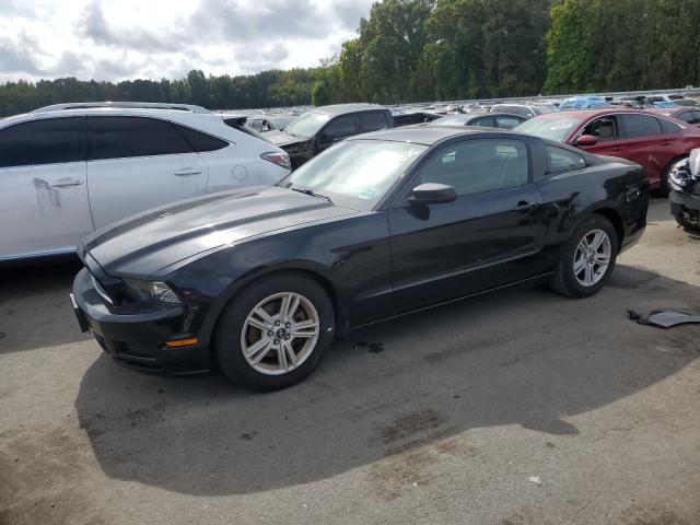 FORD MUSTANG 2014 1zvbp8am6e5282205