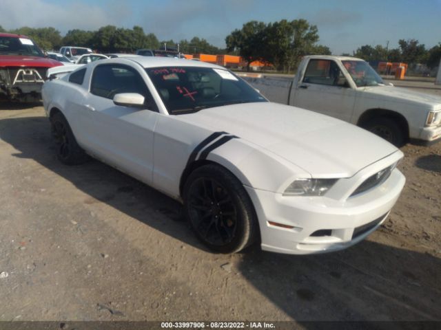 FORD MUSTANG 2014 1zvbp8am6e5303215