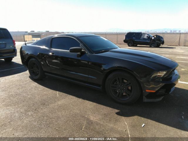 FORD MUSTANG 2011 1zvbp8am7b5115282