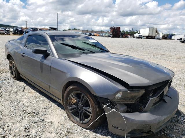 FORD MUSTANG 2011 1zvbp8am7b5116643