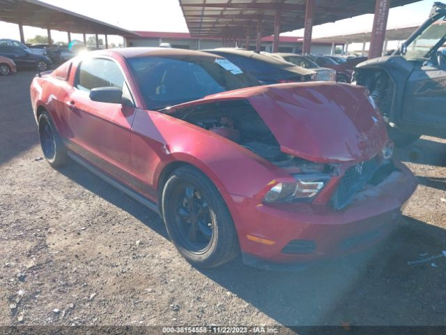 FORD MUSTANG 2011 1zvbp8am7b5117629