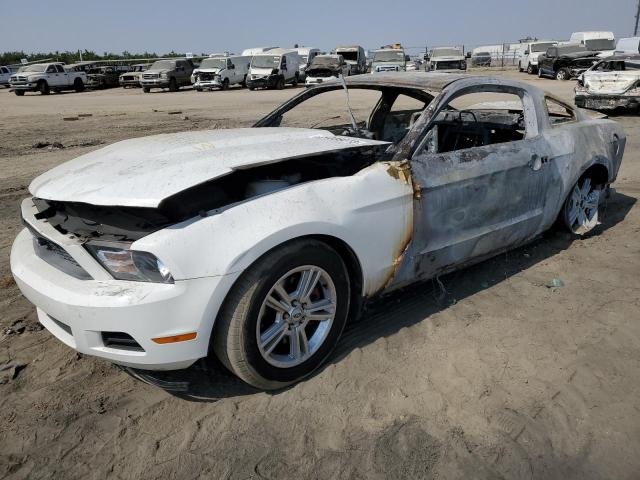 FORD MUSTANG 2011 1zvbp8am7b5117694