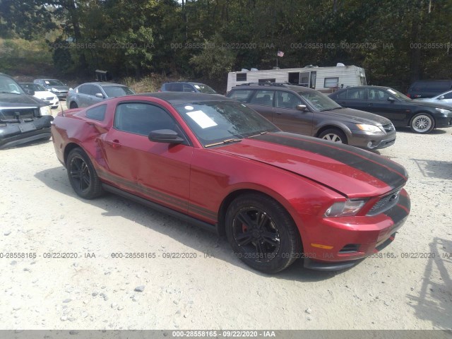 FORD MUSTANG 2011 1zvbp8am7b5134415