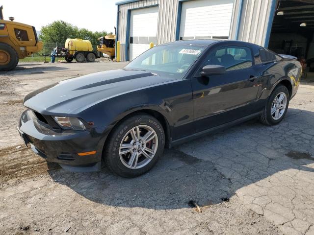 FORD MUSTANG 2011 1zvbp8am7b5137816