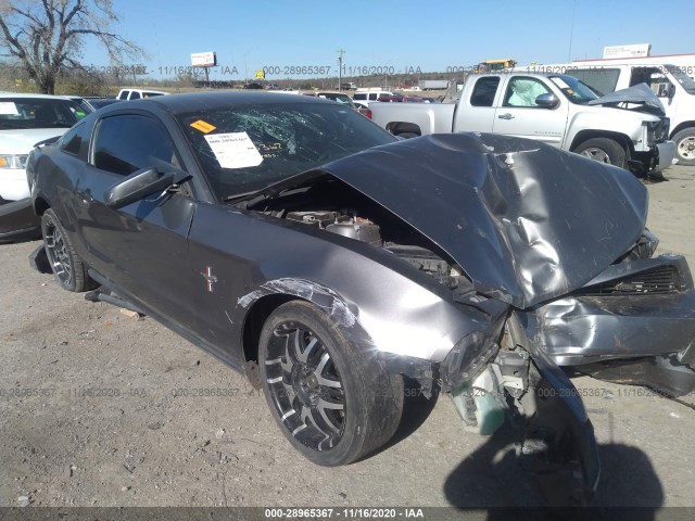 FORD MUSTANG 2011 1zvbp8am7b5148069