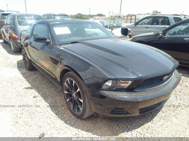 FORD MUSTANG 2011 1zvbp8am7b5151084