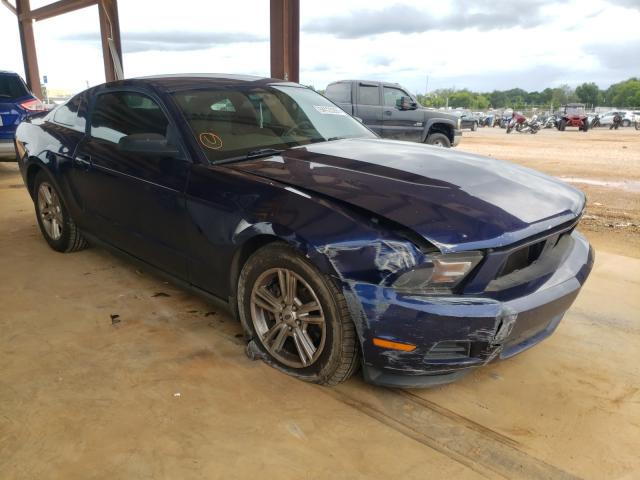 FORD MUSTANG 2011 1zvbp8am7b5161047