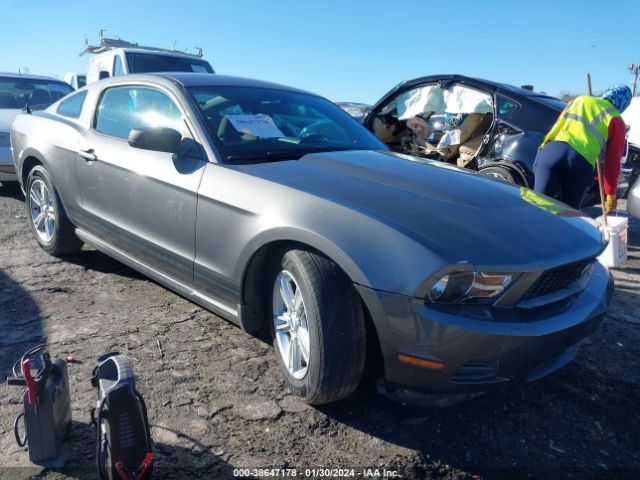 FORD MUSTANG 2011 1zvbp8am7b5162179