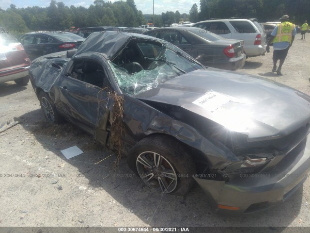 FORD MUSTANG 2011 1zvbp8am7b5169973