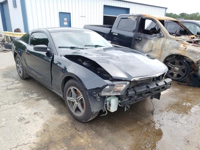 FORD MUSTANG 2012 1zvbp8am7c5253602