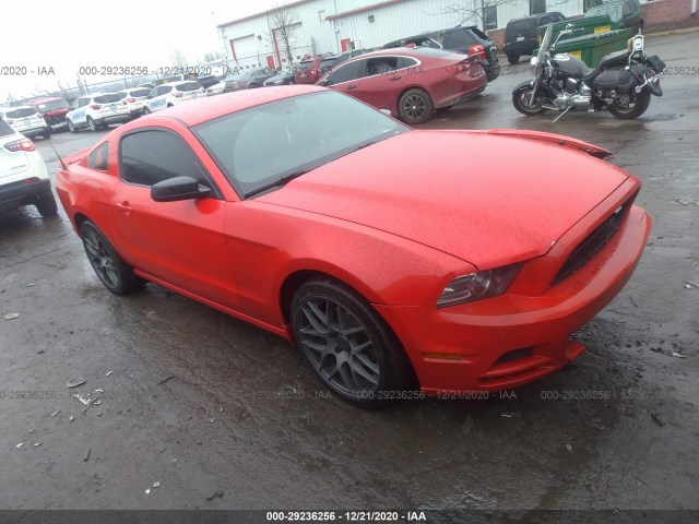 FORD MUSTANG 2013 1zvbp8am7d5215692