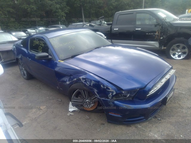 FORD MUSTANG 2013 1zvbp8am7d5217829