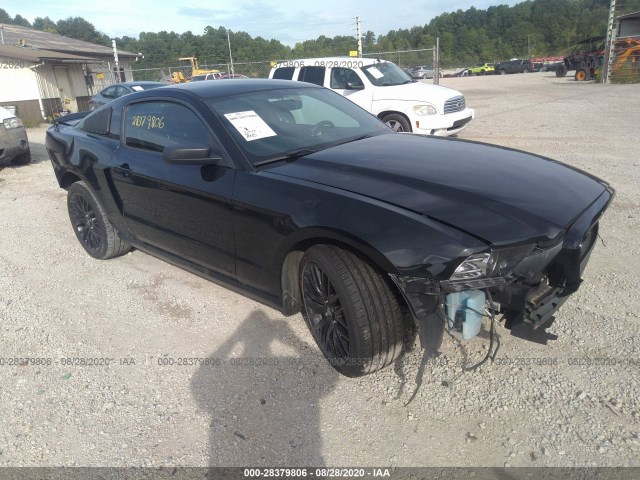 FORD MUSTANG 2013 1zvbp8am7d5217913