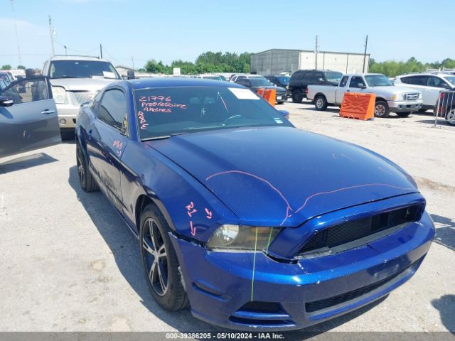 FORD MUSTANG 2013 1zvbp8am7d5224893