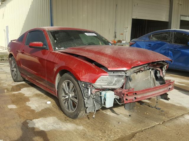 FORD MUSTANG 2013 1zvbp8am7d5224909