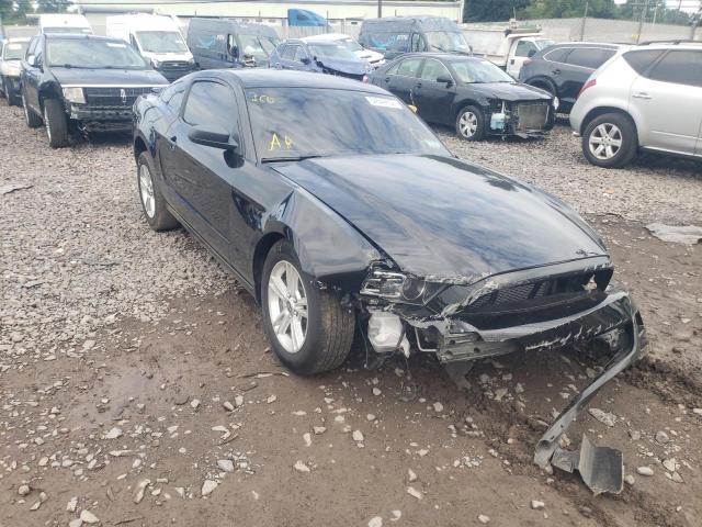 FORD MUSTANG 2013 1zvbp8am7d5228040