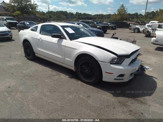 FORD MUSTANG 2013 1zvbp8am7d5228166