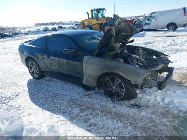 FORD MUSTANG 2013 1zvbp8am7d5230161