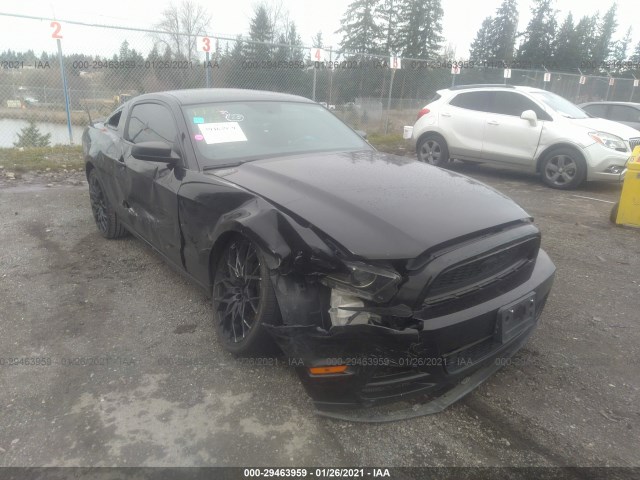 FORD MUSTANG 2013 1zvbp8am7d5243542