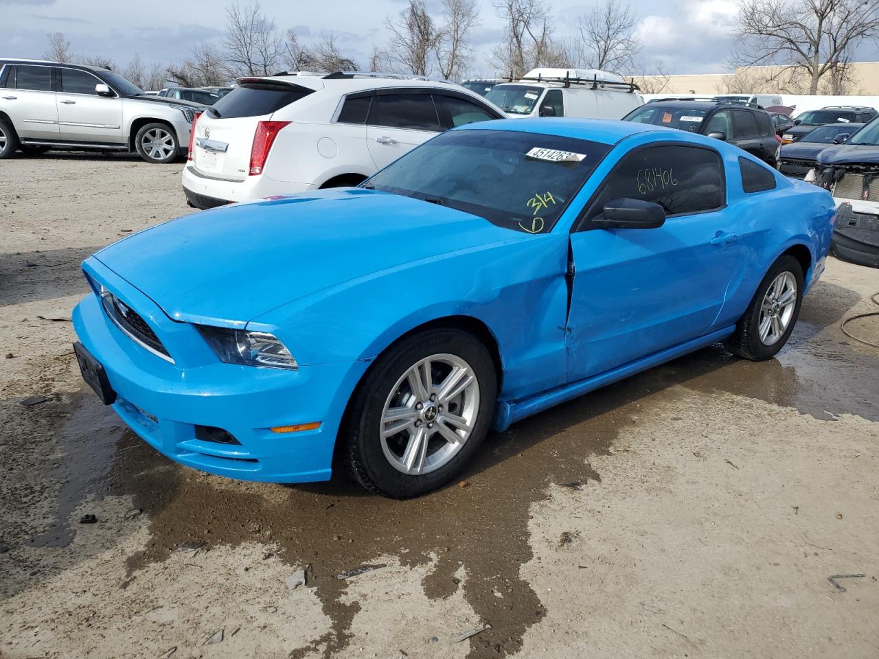 FORD MUSTANG 2013 1zvbp8am7d5254640