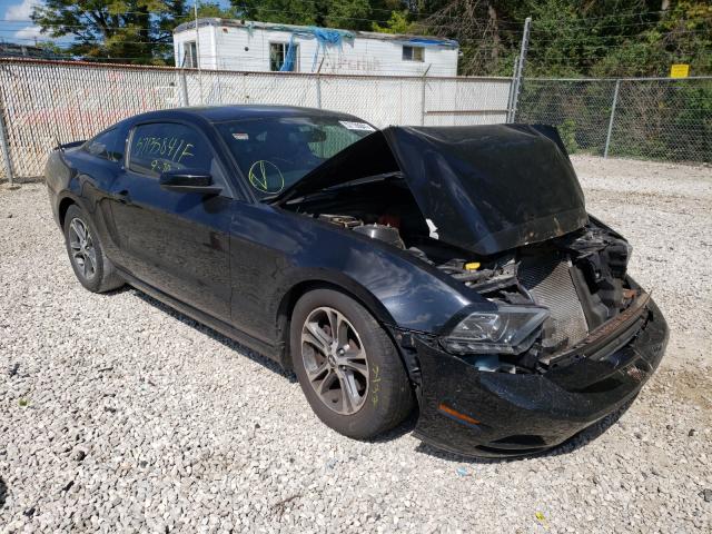 FORD MUSTANG 2013 1zvbp8am7d5257487