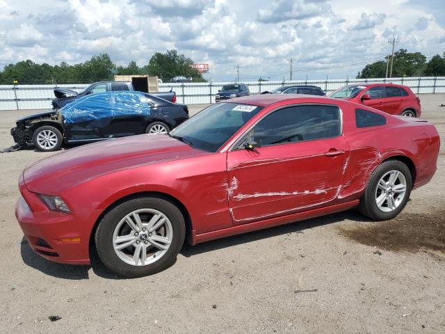 FORD MUSTANG 2013 1zvbp8am7d5268196