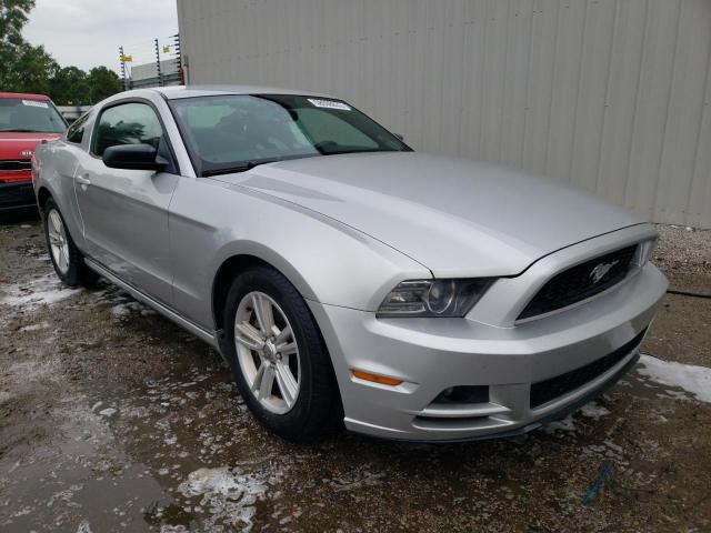 FORD MUSTANG 2013 1zvbp8am7d5268263