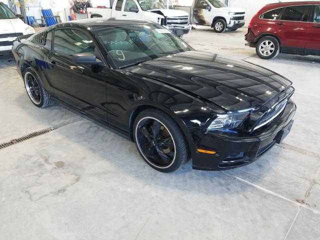 FORD MUSTANG 2013 1zvbp8am7d5269445