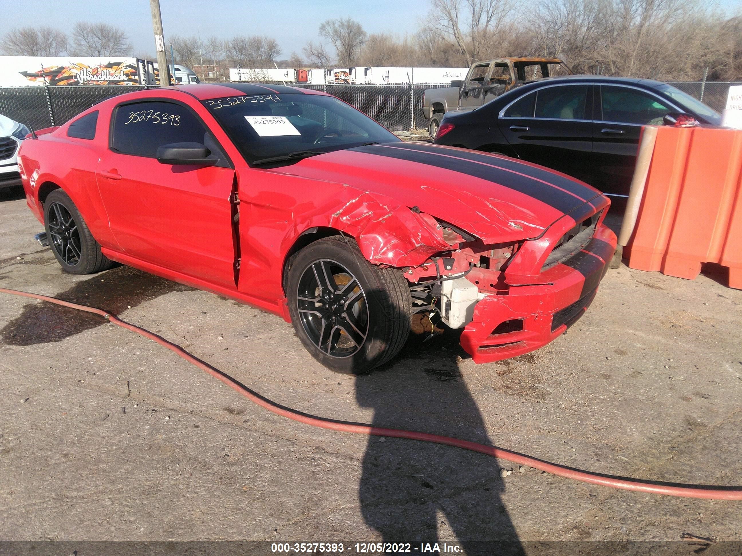 FORD MUSTANG 2013 1zvbp8am7d5271373