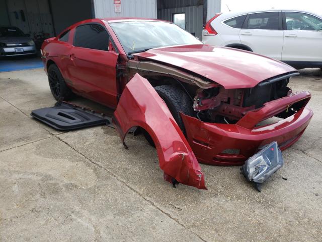 FORD MUSTANG 2013 1zvbp8am7d5277531