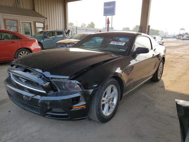 FORD MUSTANG 2013 1zvbp8am7d5281725