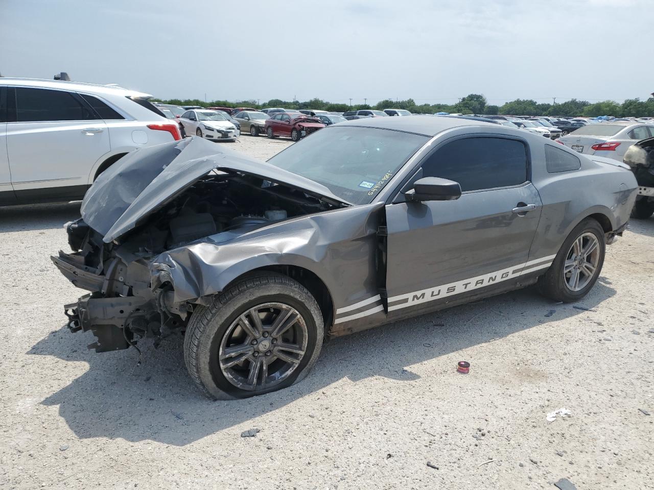 FORD MUSTANG 2013 1zvbp8am7d5282227