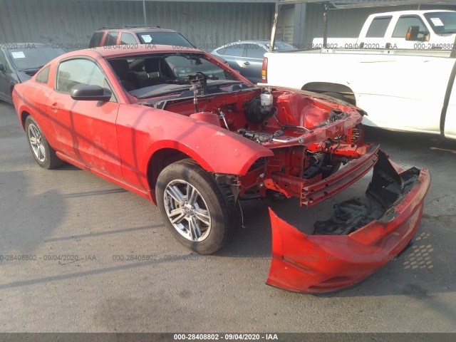 FORD MUSTANG 2013 1zvbp8am7d5282759