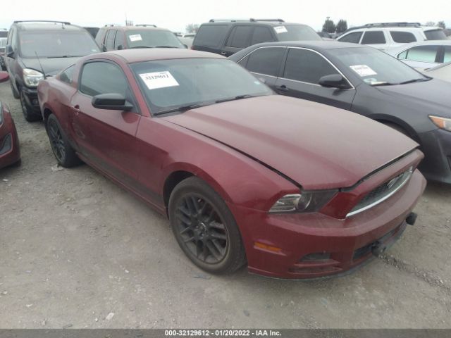 FORD MUSTANG 2014 1zvbp8am7e5204421