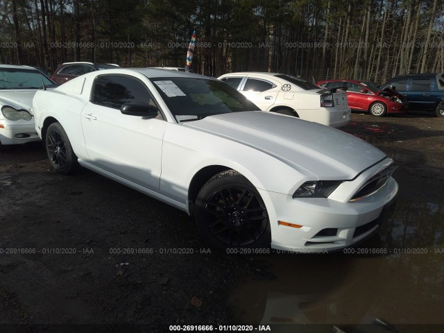 FORD MUSTANG 2014 1zvbp8am7e5254333