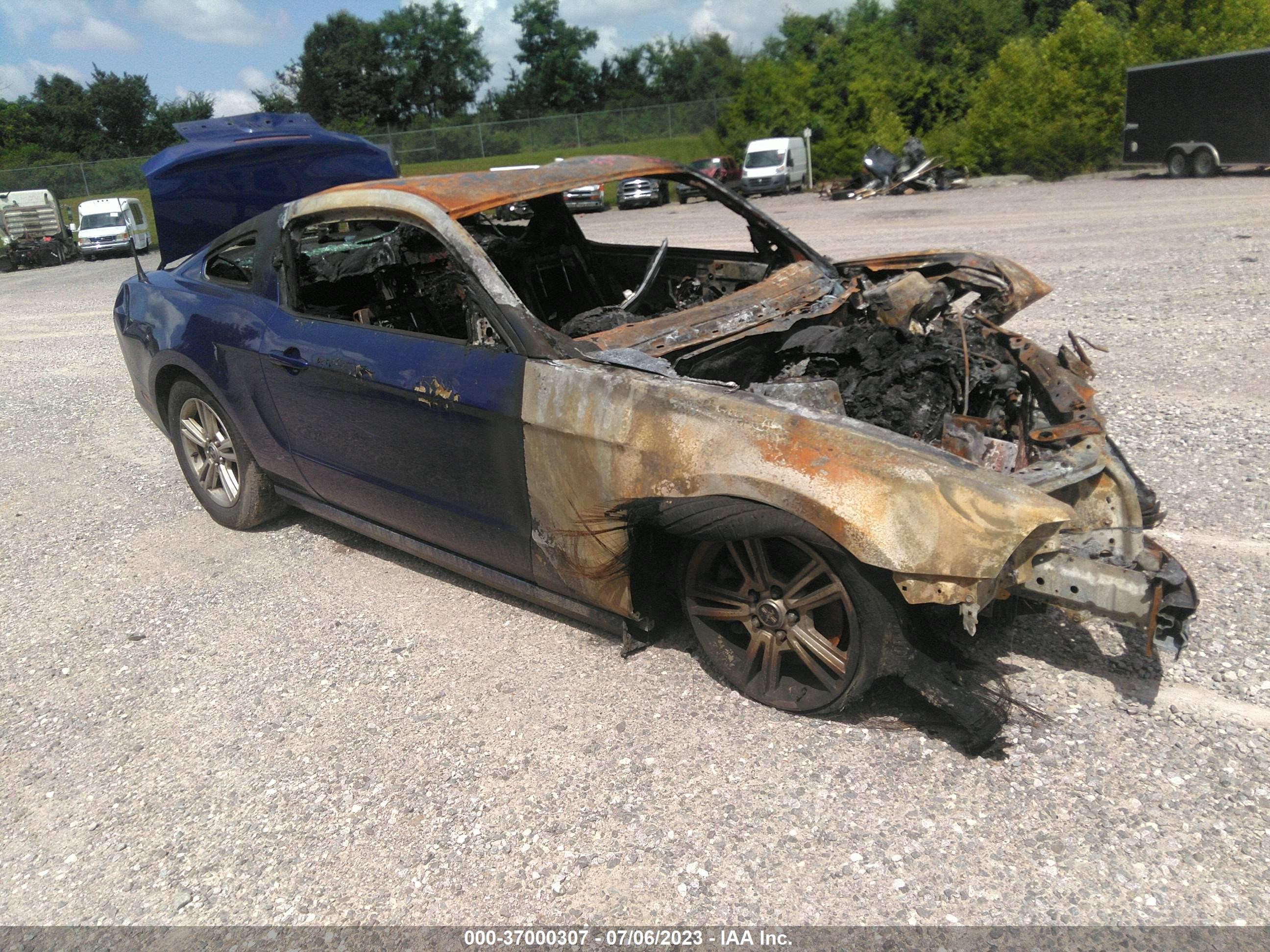 FORD MUSTANG 2014 1zvbp8am7e5265784