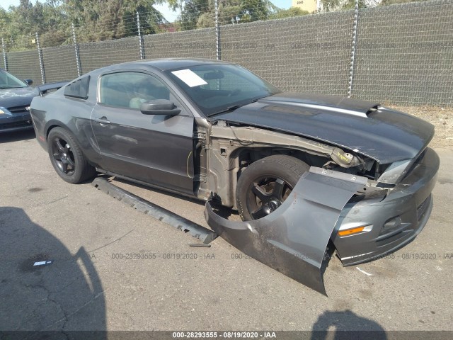 FORD MUSTANG 2014 1zvbp8am7e5288613