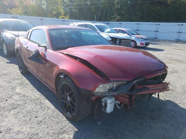 FORD MUSTANG 0 1zvbp8am7e5298557