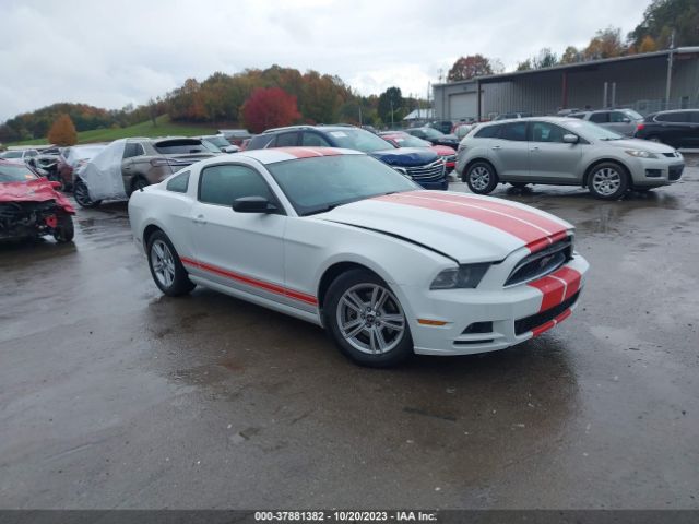 FORD MUSTANG 2014 1zvbp8am7e5313977