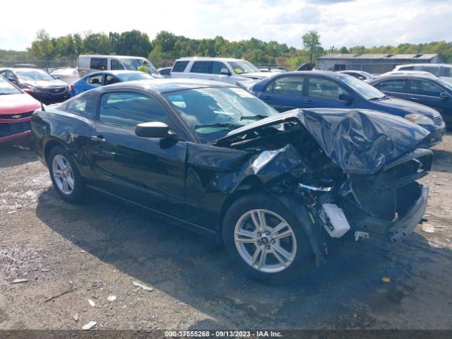 FORD MUSTANG 2014 1zvbp8am7e5331119