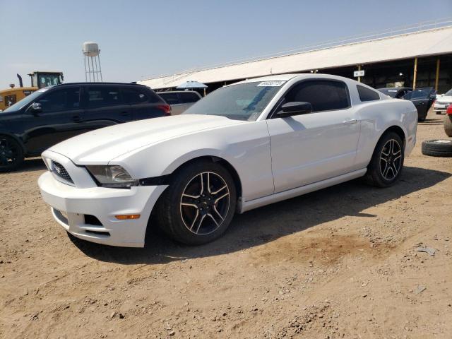 FORD MUSTANG 2014 1zvbp8am7e5333601