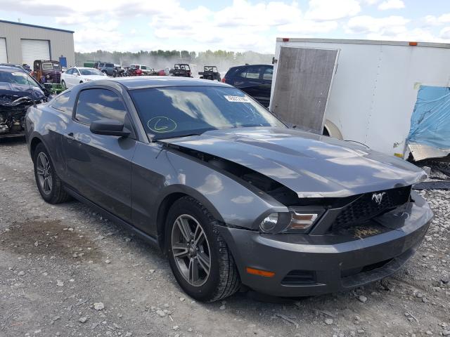 FORD MUSTANG 2011 1zvbp8am8b5101116