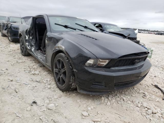 FORD MUSTANG 2011 1zvbp8am8b5103030