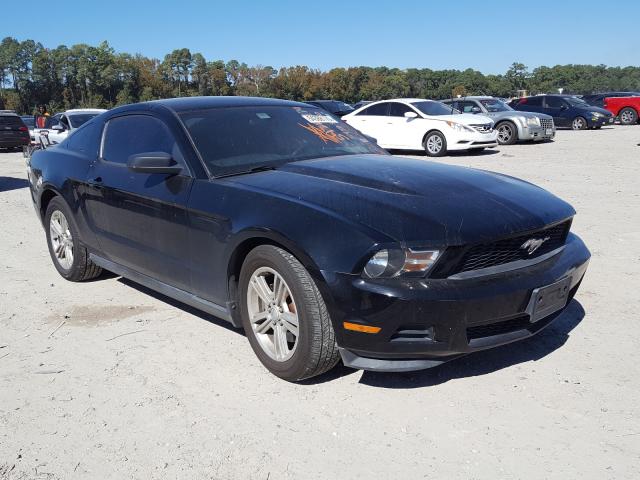 FORD MUSTANG 2011 1zvbp8am8b5105490