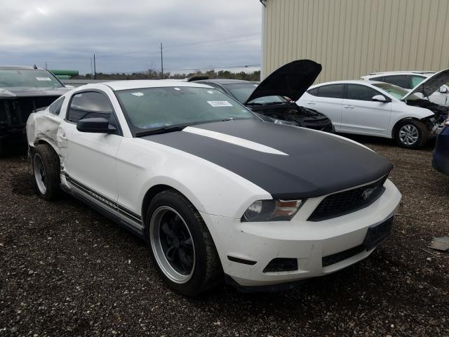 FORD MUSTANG 2011 1zvbp8am8b5110687