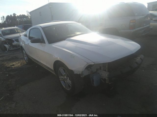 FORD MUSTANG 2011 1zvbp8am8b5115596